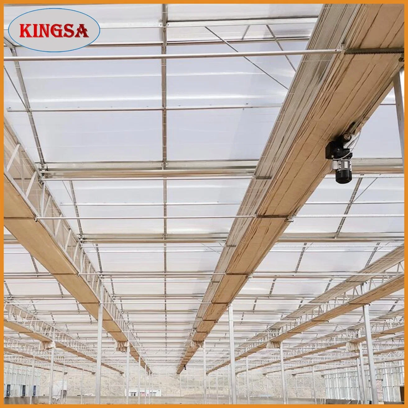 Agricultural/Commercial Multi-Span PC Sheet Greenhouse with Hydroponic System and Automatic Irrigation System