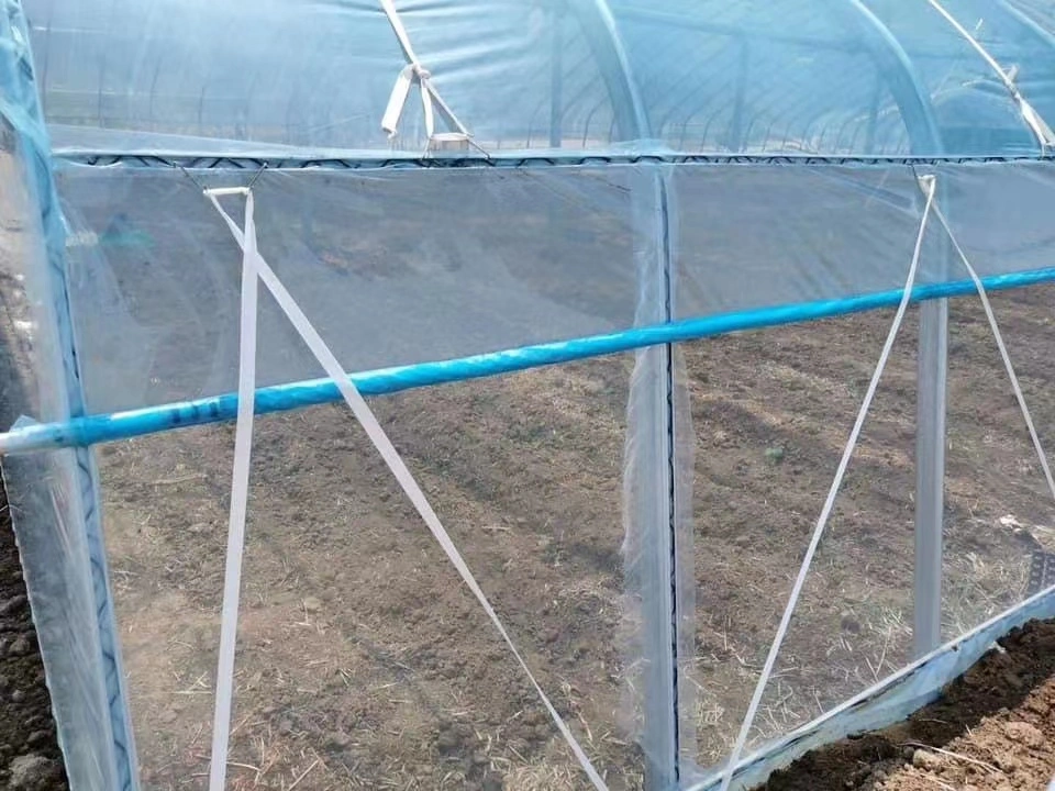 Blue Greenhouse Film Wholesale/Supplier - Greenhouse Plastic Sheet Manufacturer