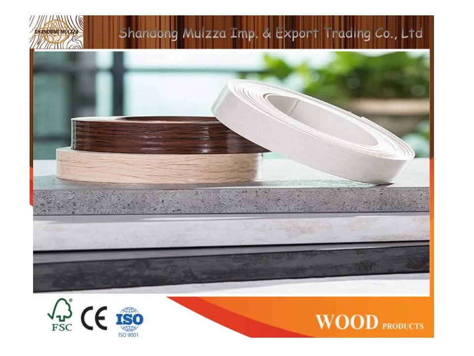 1*22mm Customized ABS/PVC/Melamine Edge Banding for Furniture/Boards