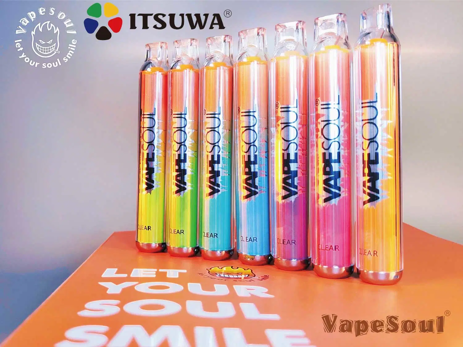 Vapesoul Clear 800 Puffs Tpd Disposable/Chargeable Vaporizer Cigarette Vapor OEM Vape Device