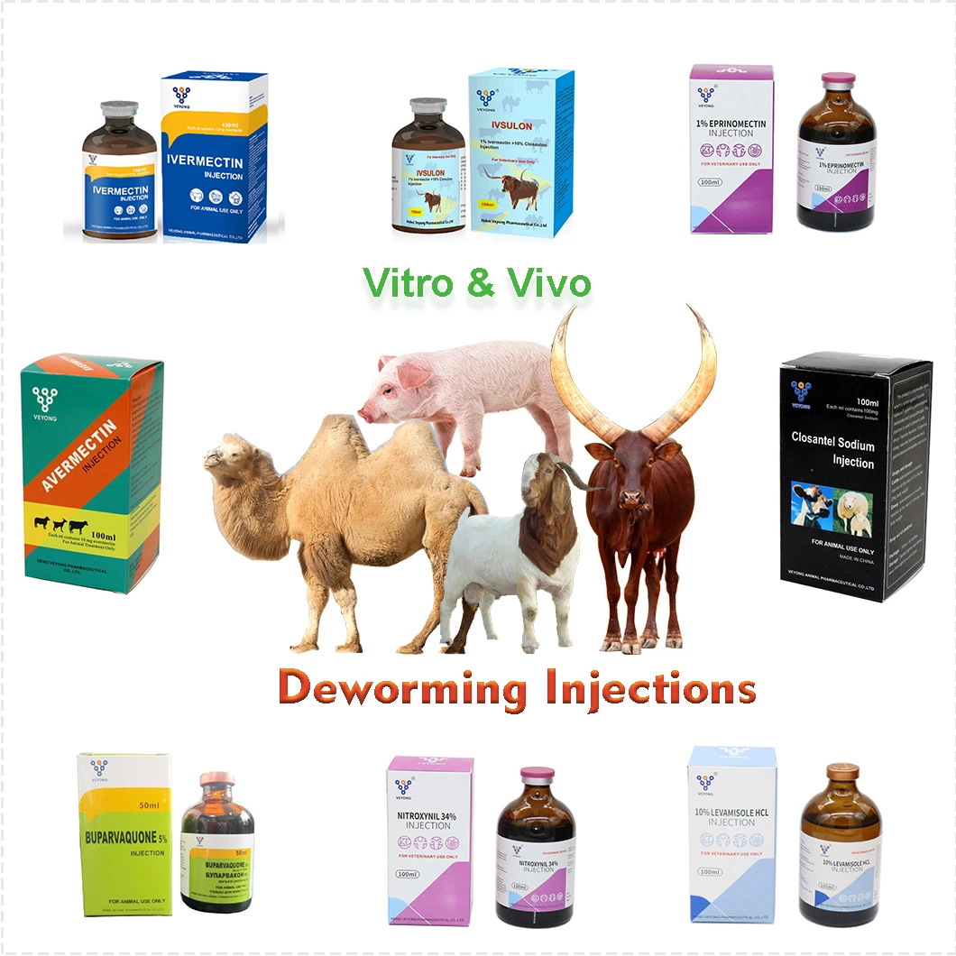 Good Quality 0.4% Dexamethason Injection 4mg/1ml Sheep Medicine Pharmaceutical Chemical From China GMP Factory