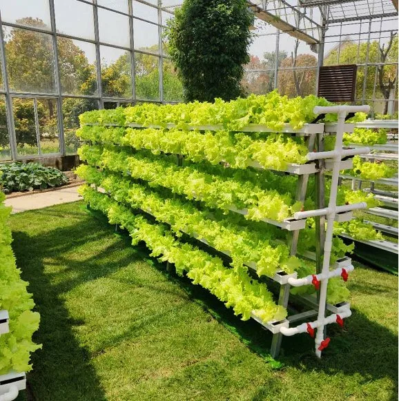 Vegetables Greenhouse Vertical PVC Nft Hydroponic Growing System