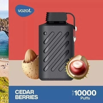 Vozol Gear 10000 Puffs Wholesale/Supplier I Vape 20ml E-Liquid Prefilled Pod 5% Nicotine Disposable/Chargeable Vape