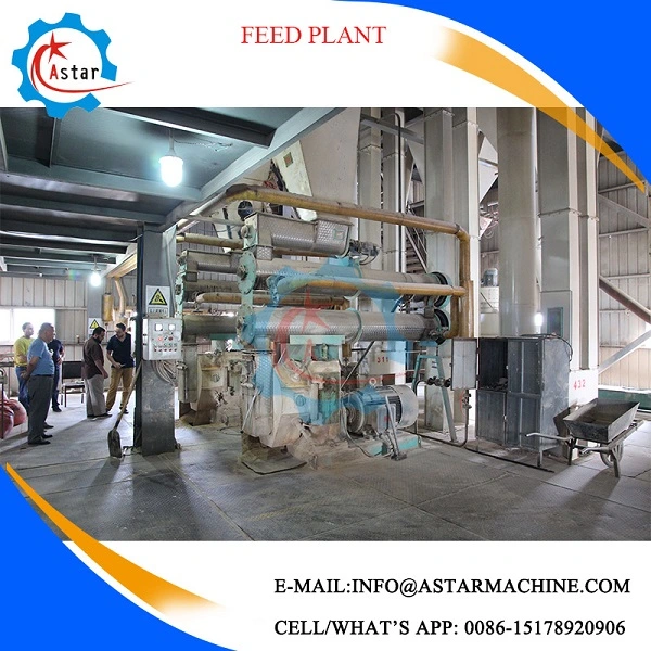 Shrimp Chicken Poultry Cattle Livestock Dairy Complete Animal Feed Pellet Making Production Line for Sale Animal Food Processing Line