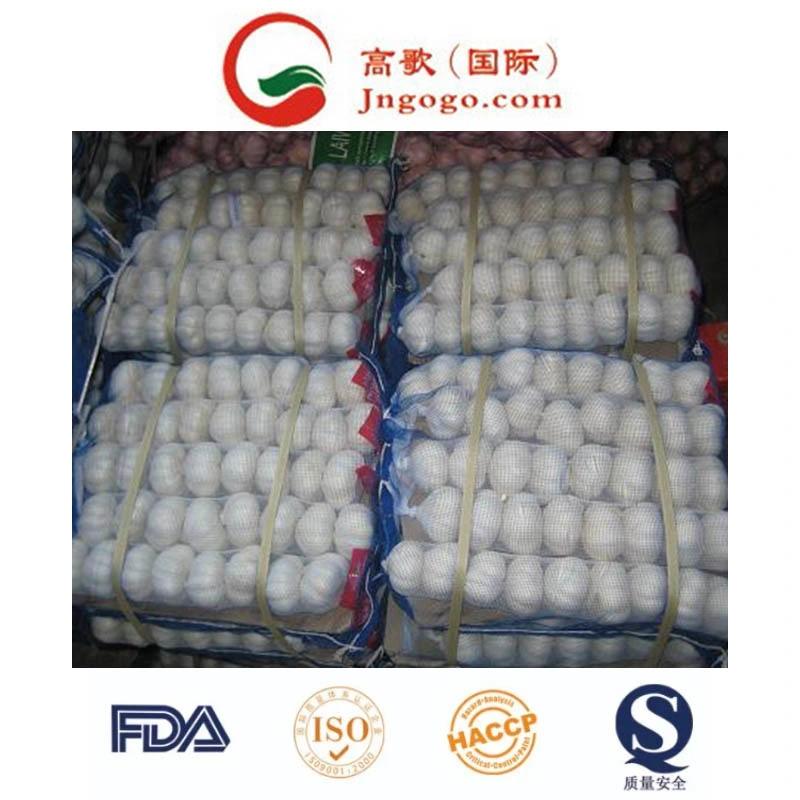 New Crop Fresh Good Quality Normal White Garlic