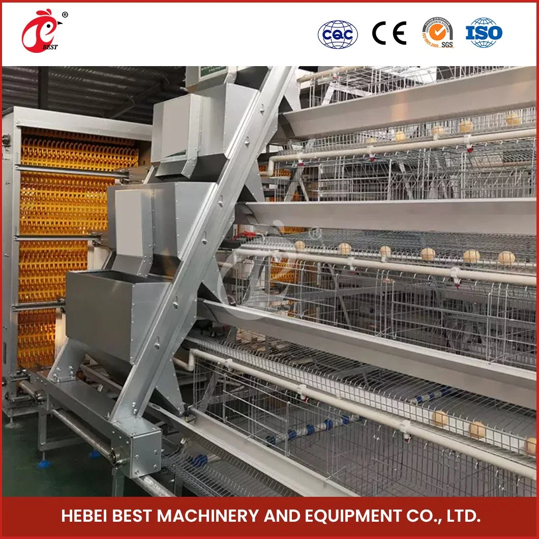 Bestchickencage a Type Layer Cage China Layer Chicken Battery Layer Cage Automatic Factory Wholesale/Supplier F and J Laying Cages Configuration Chicken Coop Floor