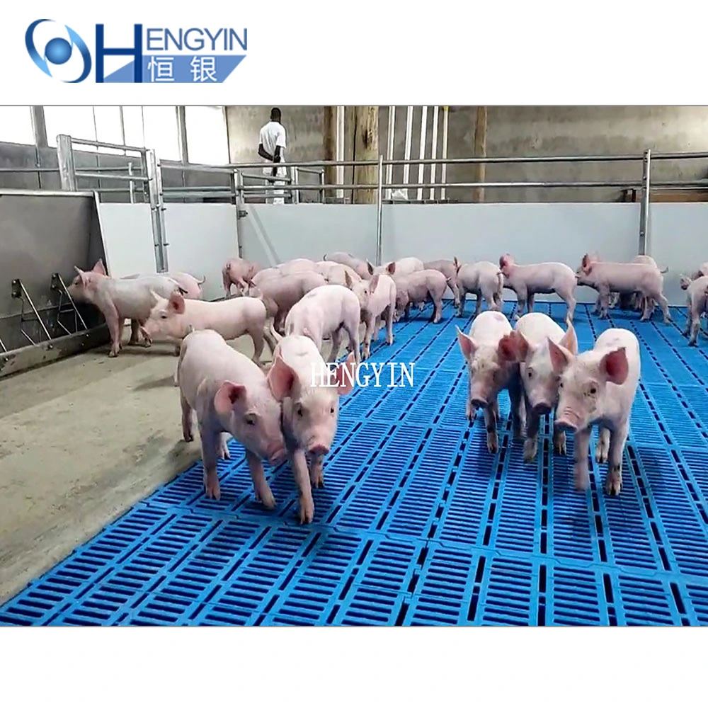 Plastic Slatted Floor for Goat Sheep Farming