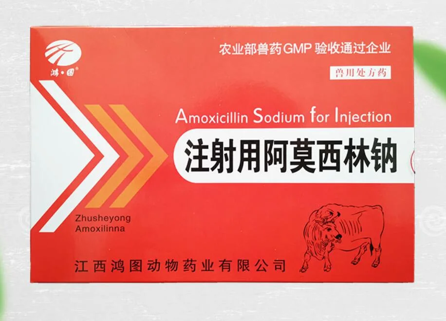 Amoxicillin Natrium für Injektion zur Behandlung von Gram-positiven und Gram-negative Bakterieninfektion empfindlich auf Amoxicillin