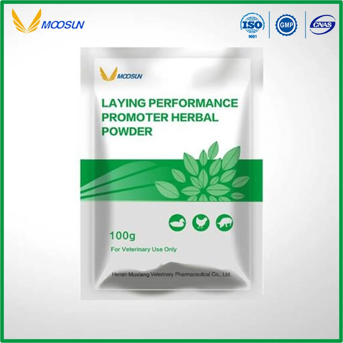 Chinese Manufacture Herbal Veterinary Medicine Anti-Bacteria Herbal Powder for Animals Use with GMP ISO