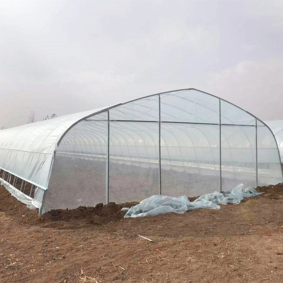 La agricultura en pequeña escala/jardín invernadero túnel película para el cultivo de hortalizas/Avicultura