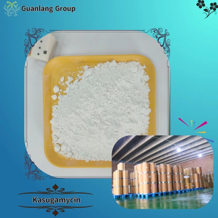 Highly Effective Raw Materias Kasugamycin Rice Vegetables Fruit Fungicide 6980-18-3