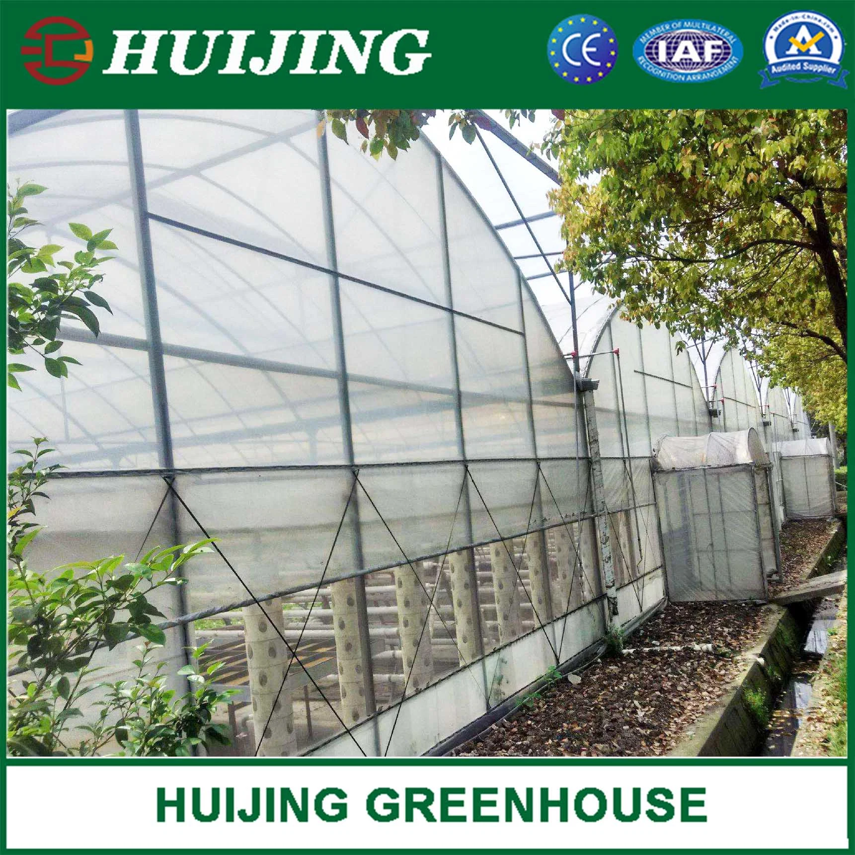 Barato Agrícola plástico película cubierta Multi Span Greenhouse para la venta