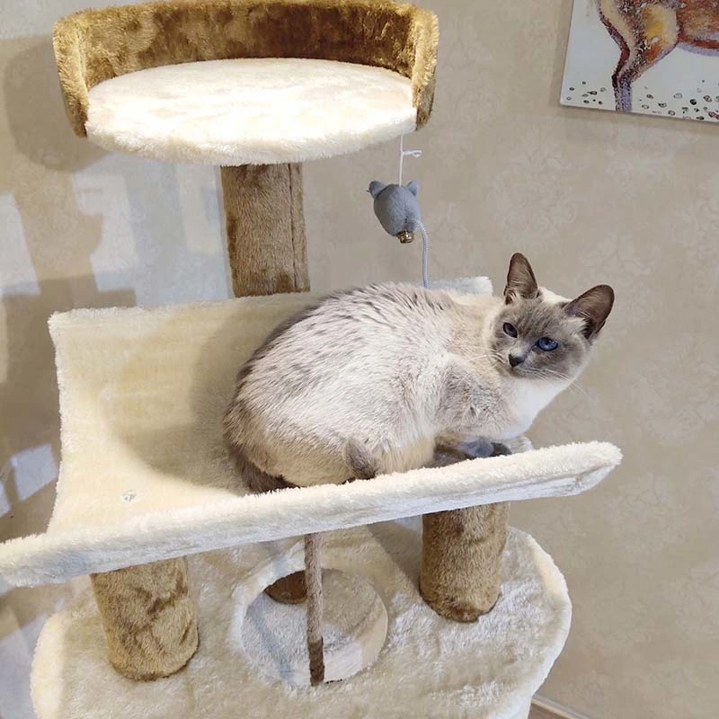 Paw Shaped Luxury Cat Scratcher Tree Cat Toy