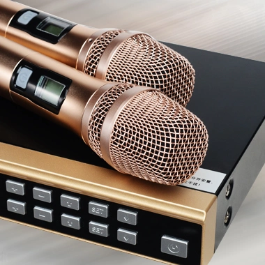 Made in China Karaoke Wireless Microphone