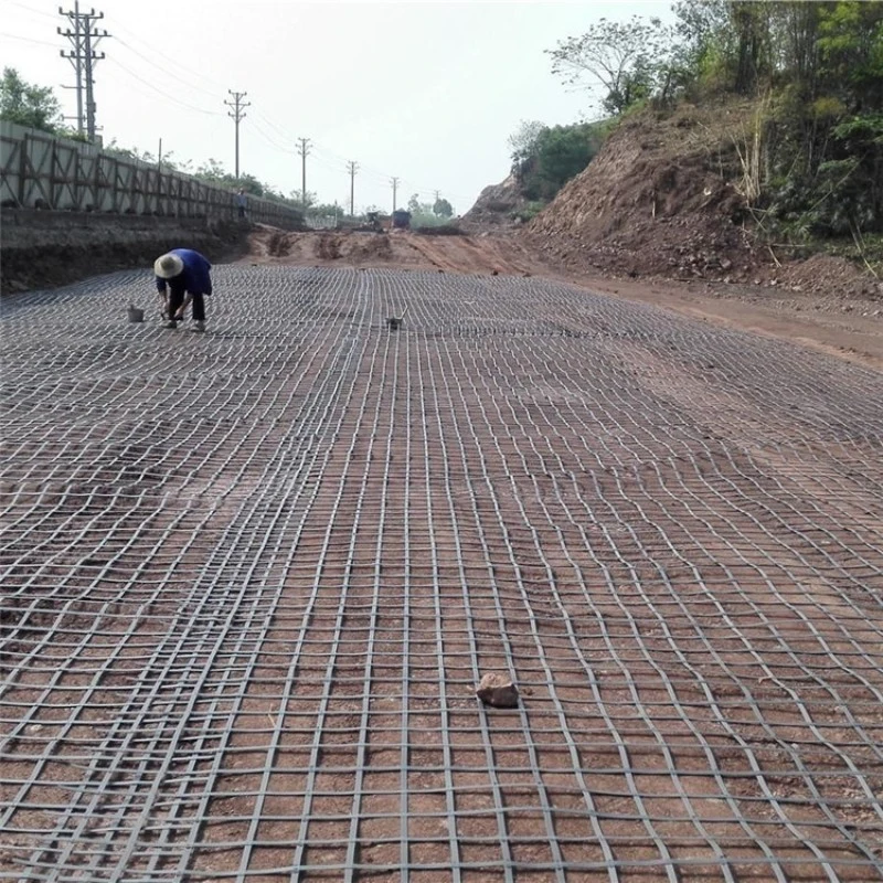 Road Reinforcement Polyester Geogrid/Pet Geogrid