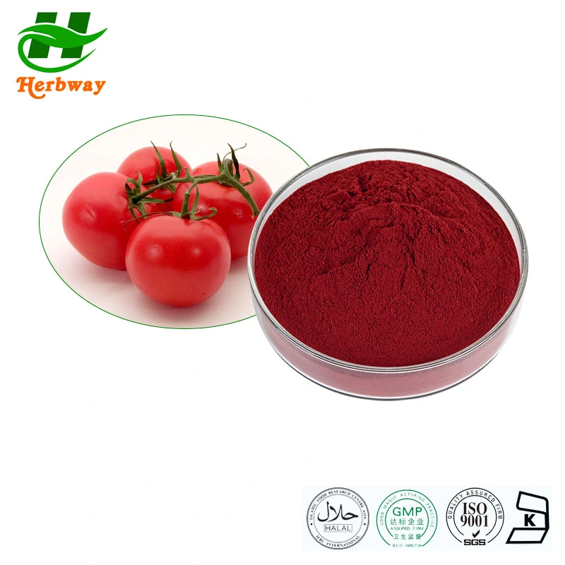 Extracto de tomate para extracção de plantas certificado Herbway Kosher Halal FSSC HACCP Para melhorar o licopeno de imunidade