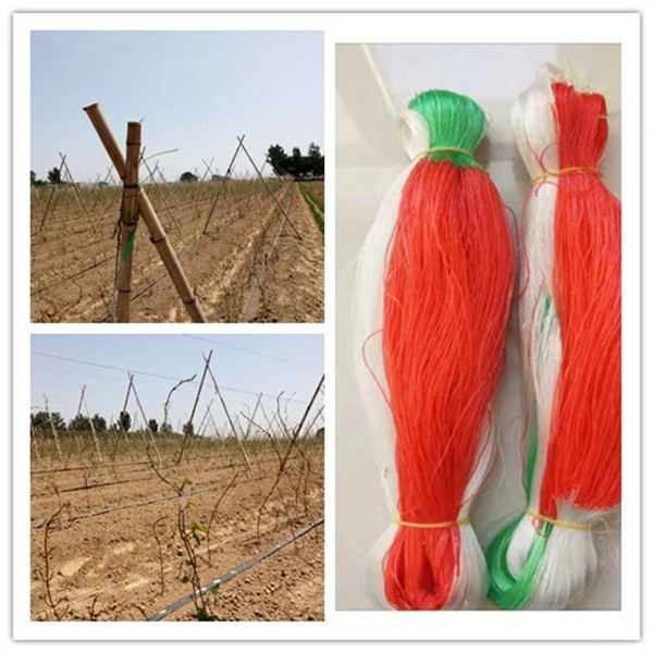 Nylon PP Rattan Plant Crop Support Cucumber Agriculture Plantation 1.7m*100m Trellis Mesh Net for Plants