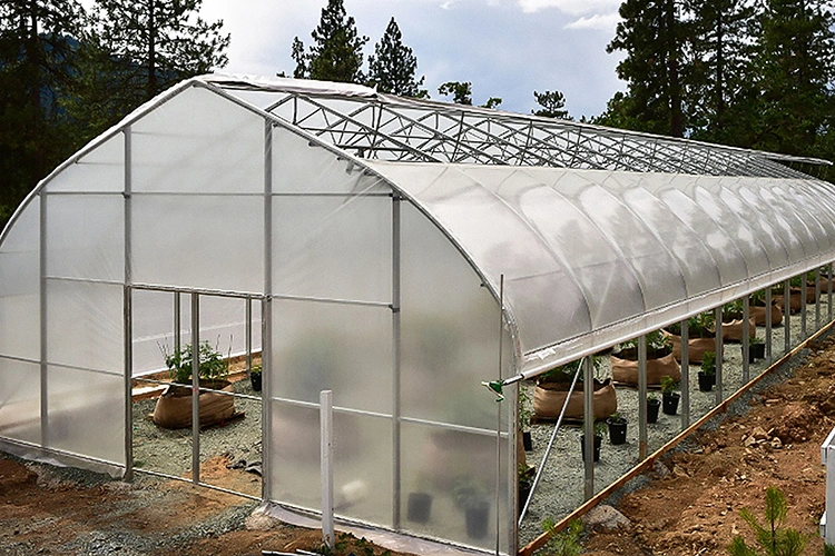 WMGH034 الزراعة متعددة المدى الدفيئة الزجاجية Hydroponic Green house