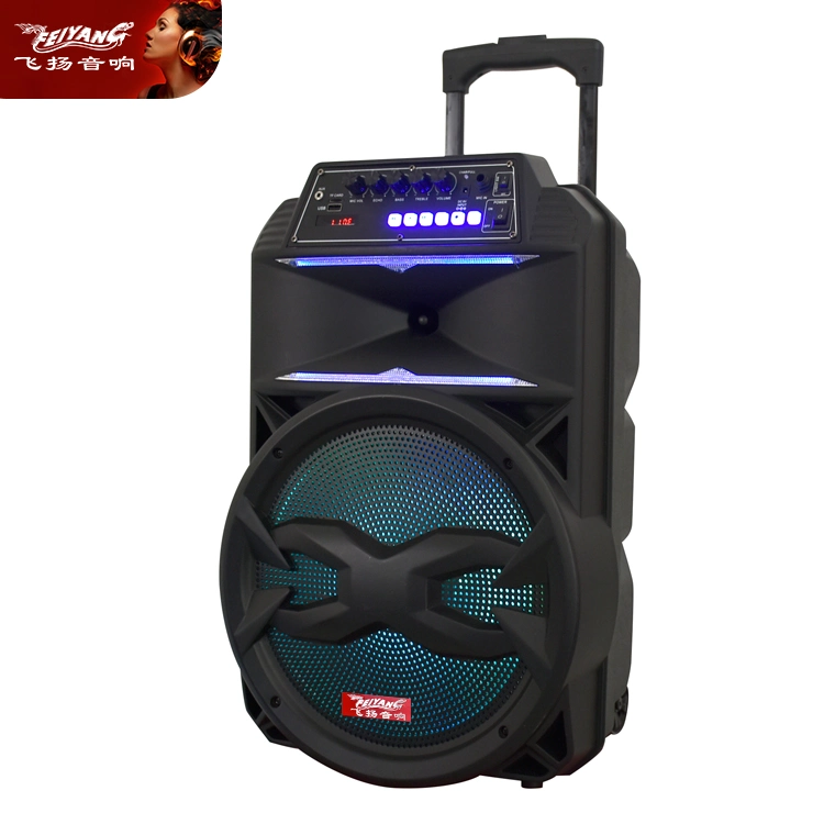 Feiyang 12 Inch Trolley Outdoor Party Mini Portable Bluetooth Speaker