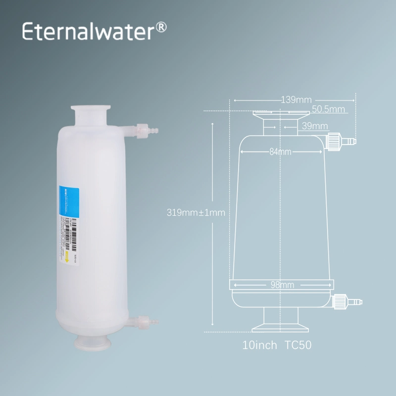 Double Layers Pes Membrane Capsule Filters 0.22micron 10" with Sanitary Flange/Hb Connection