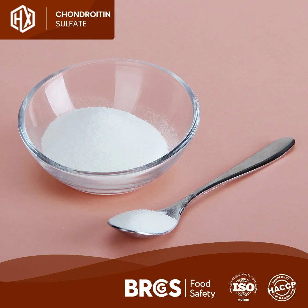Haoxiang Supply Food Grade Pure Chicken Bone Chondroitin Sulfate Powder for Bone Health OEM Customized Improves Bone Density