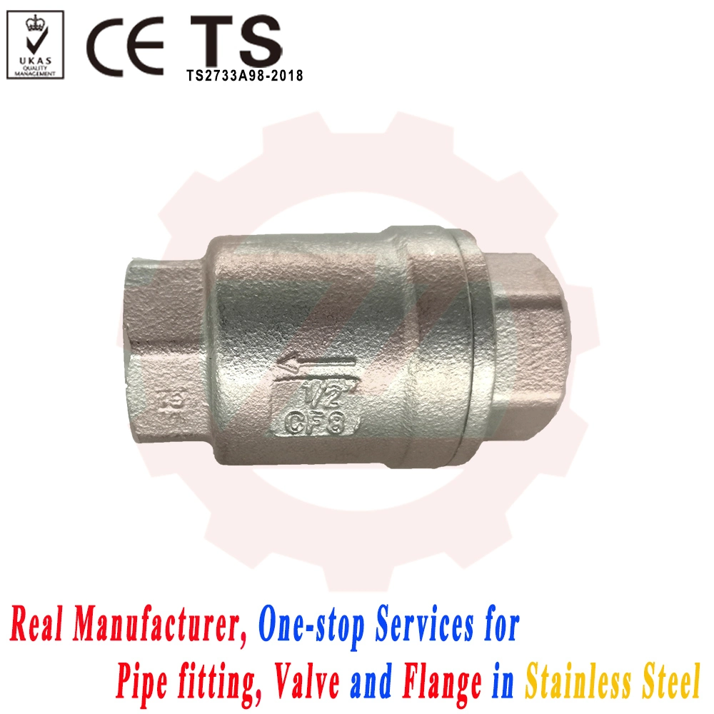 DN65 Stainless Steel Thread Lift Check Valve for Sump Pump