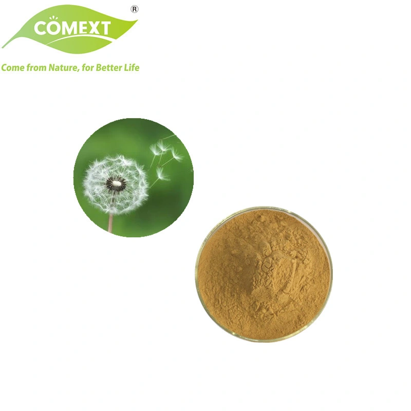 Comext Manufacturer Halal Kosher Organic Health Product Protect Liver of Dandelion Extract