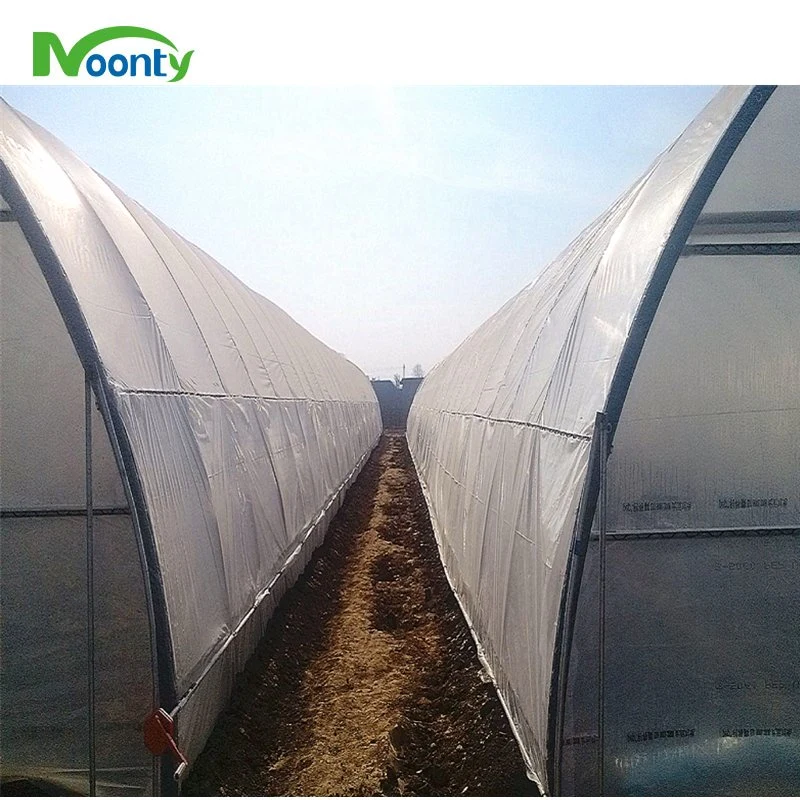 Agriculture Double Layer Film 4 Seasons Greenhouse Double Truss Hot Steel Frame