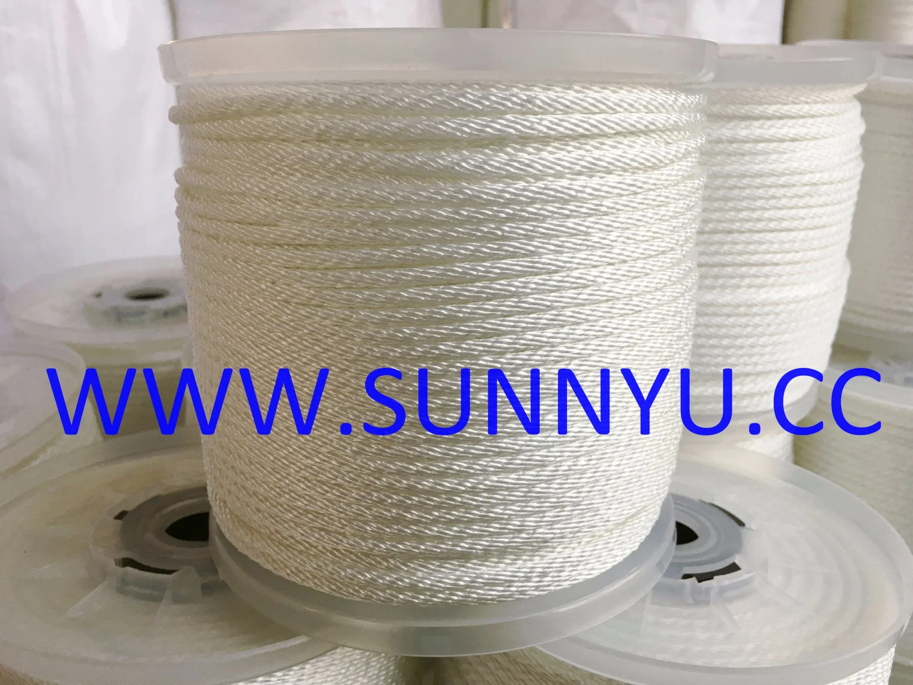 Customized Strong Colored PP Diamond Braided Rope for Packaging