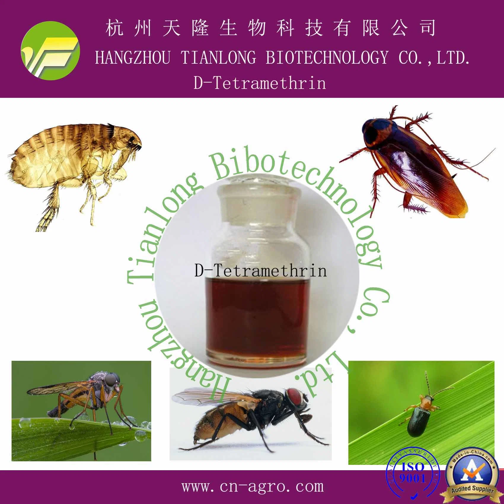 Insecticide D-Tetramethrin 92%TC CAS 1166-46-7;548460-64-6