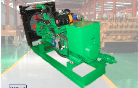 30kw Biogas Genset/Gas Generator Set 4105 Engine