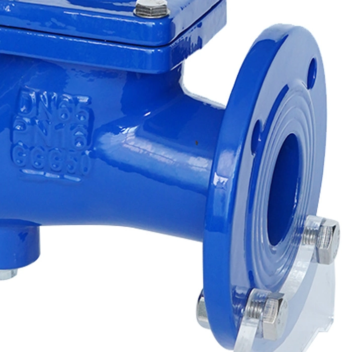 DIN3202-F6 Ductile Cast Iron Flanged Ball Type Check Valve for Industrial Pumping