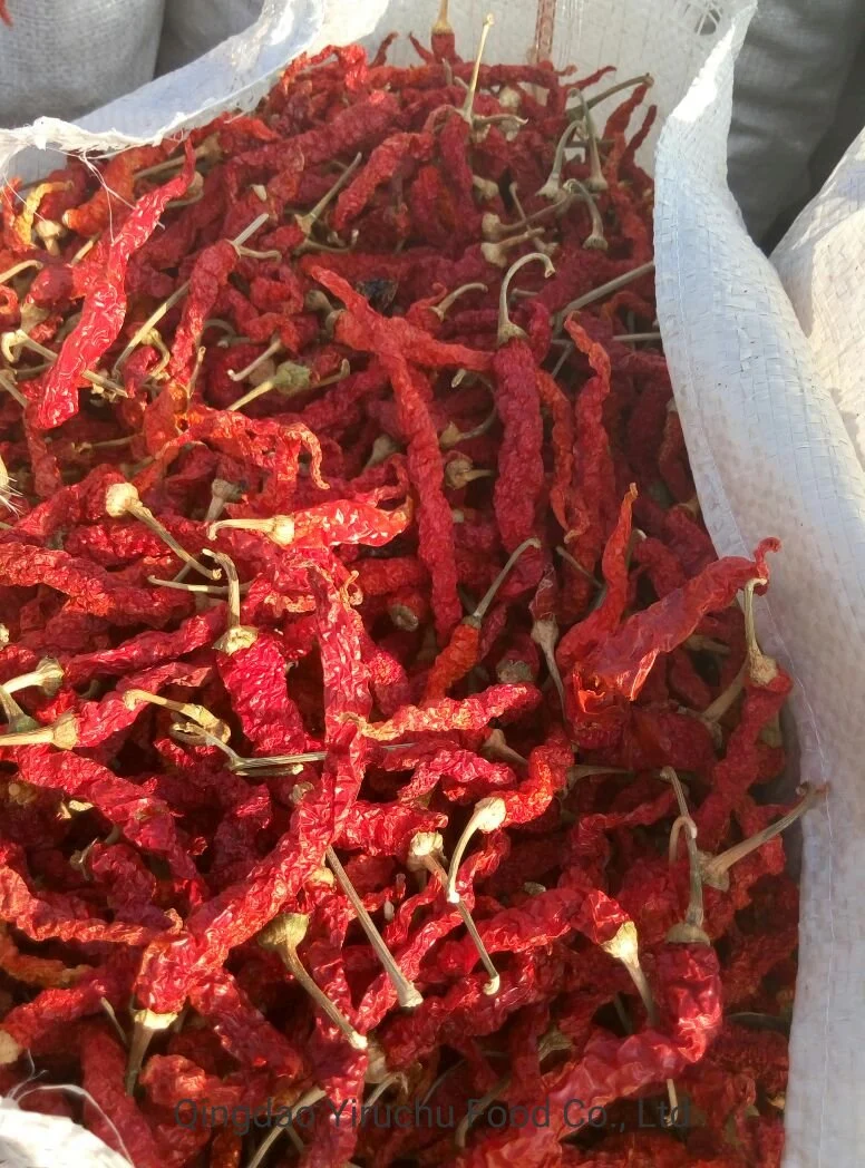 Good Price Sweet Paprika Dry Red Chilli