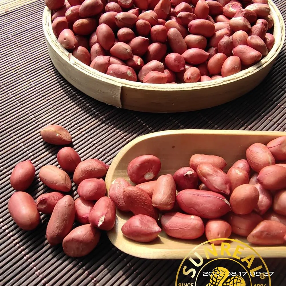 Raw Red Skin Peanut Kernels/Premium Quality/China 60/70