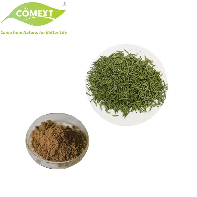 Comext High quality/High cost performance  Gholesale Price 45% EGCG 75% Catechin Green مسحوق الشاي المستخرج من الشاي لمادة التغذية