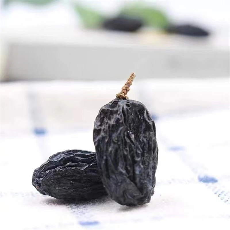 Preto de fábrica Raisin Xinjiang