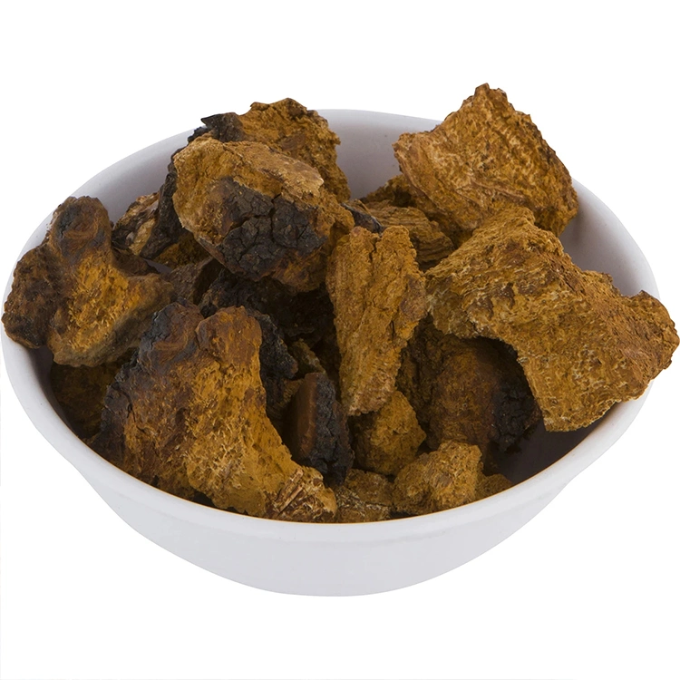 Hot Sell Organic Chaga Mushroom Extract Powder Maitake Mushroom Cordyceps Mushroom Lion's Mane Mushroom Reishi Mushroom Blends