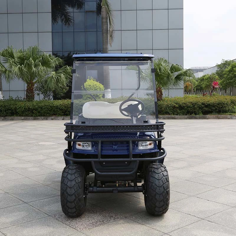 China Manufacturer Marshell Utility Vehicle 2 Seater Electric Golf Buggy (DH-C2)