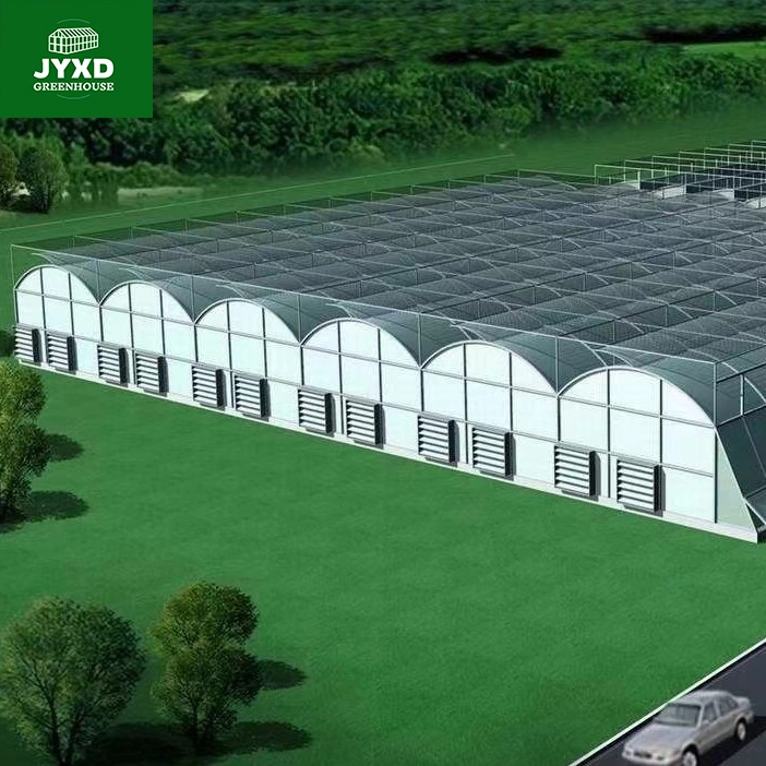 Película plástica Multi-Span Greenhouse con sistema hidropónico para Verduras/Frutas/Flores/Tomato/pepino/Lechuga/Pimienta plantando