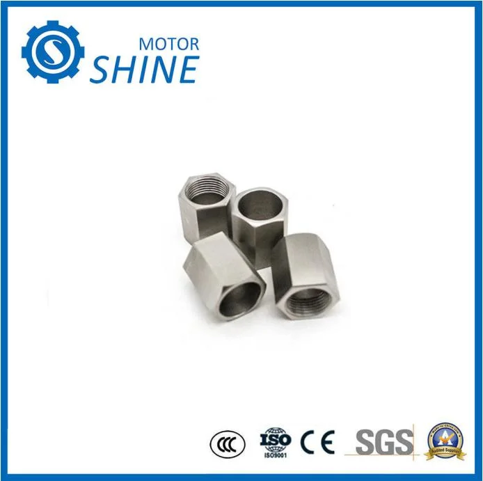 Stahl / Messing / Aluminium Spindelwelle, Antrieb Elektrische Motorwelle Präzisions-Hardware