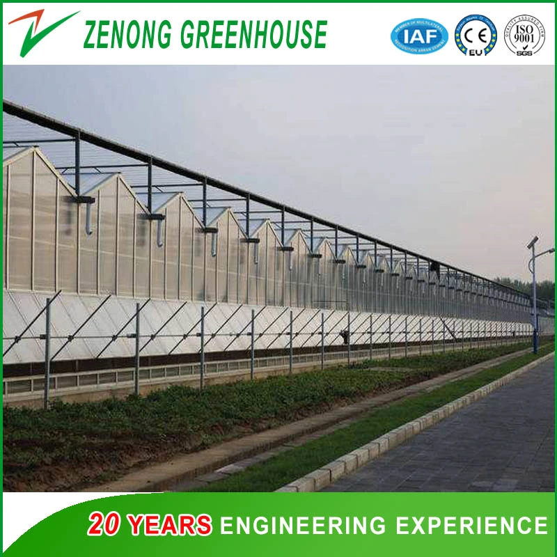 Sunlight Greenhouse with Intelligent Device for Modern Agriculture Seed Breeding Cultivation