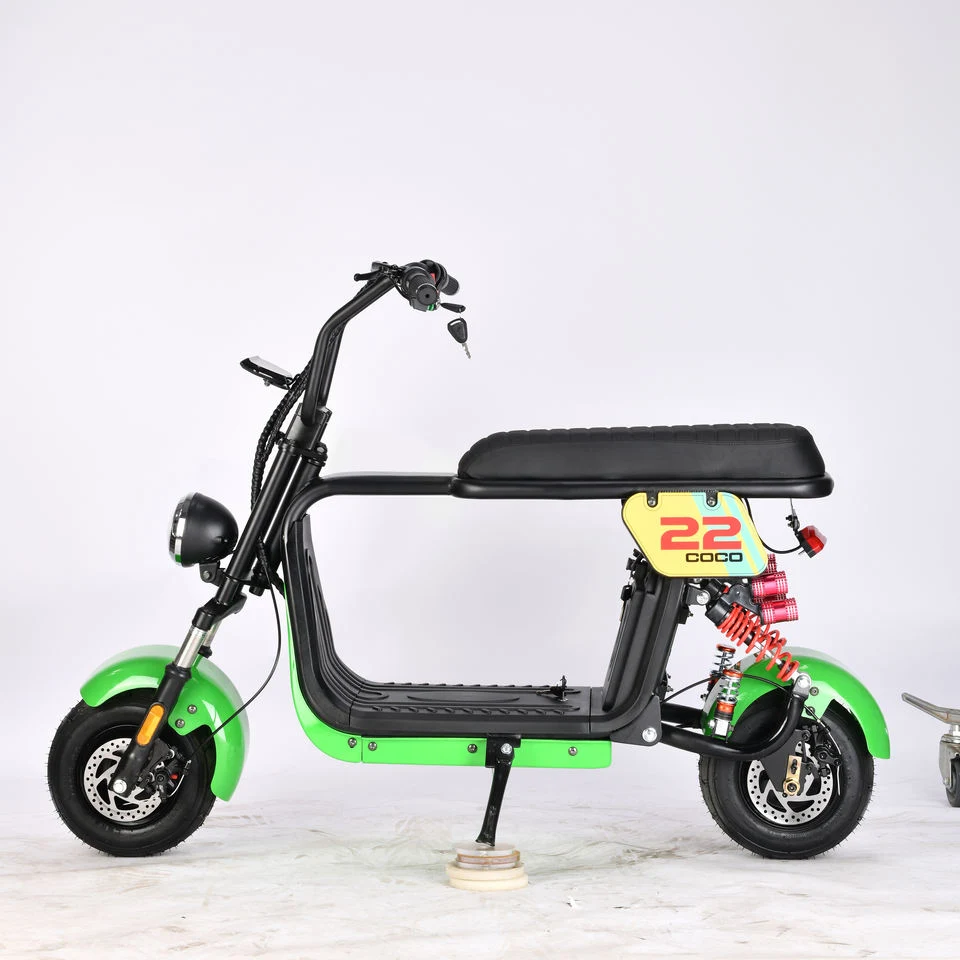 New Style Cheap Price Electric Bike 10inch 48V 1000W Esooter Fat Tire Motorcycle Electric with Max Loading 150kg