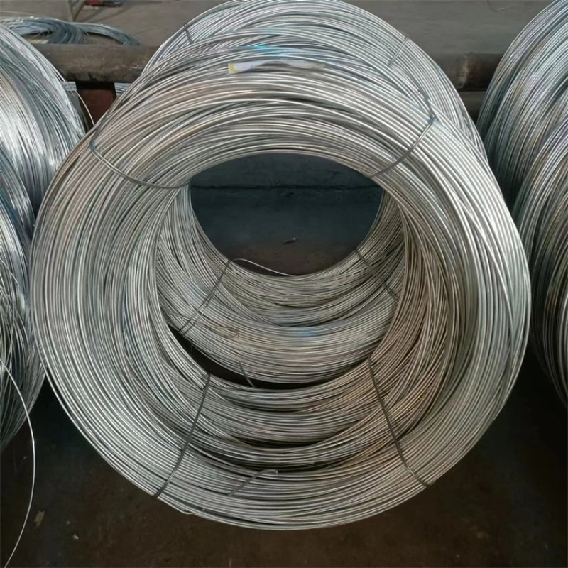 Factory Supply Hot Dipped Galvanized Bright Steel Wire Rope Zinc Coated Steel Wire
