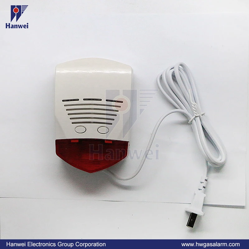 Unabhängiger AC220V/AC110V Co-Alarm Haushalt Kohlenmonoxid-Detektor (GT)