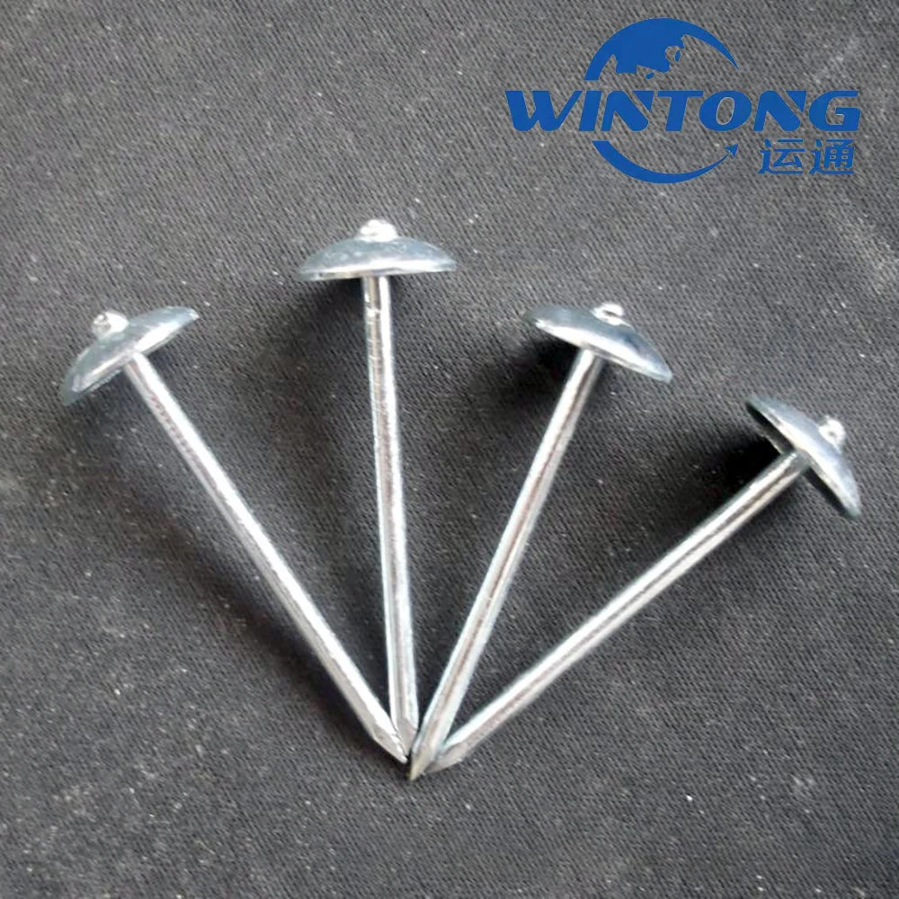 Ring / Q195 / Color Galvanized / Roofing Nails