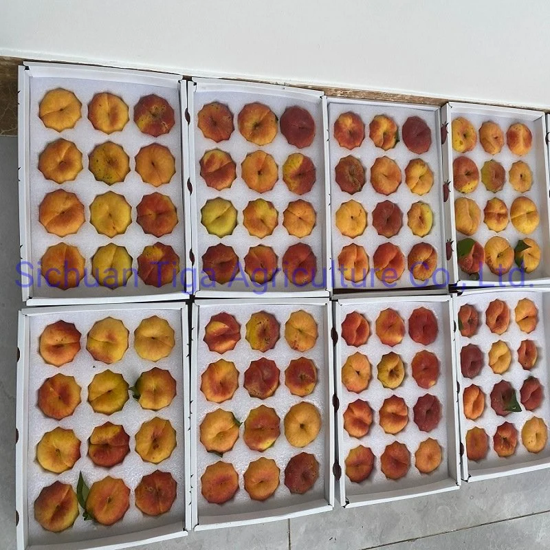 Heißer Verkauf Köstliche Frische Süße Donut Peach Sommer Obst