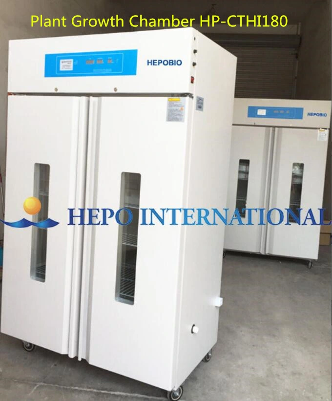 Carbon Dioxide Incubator CO2 Incubator with Factory Price