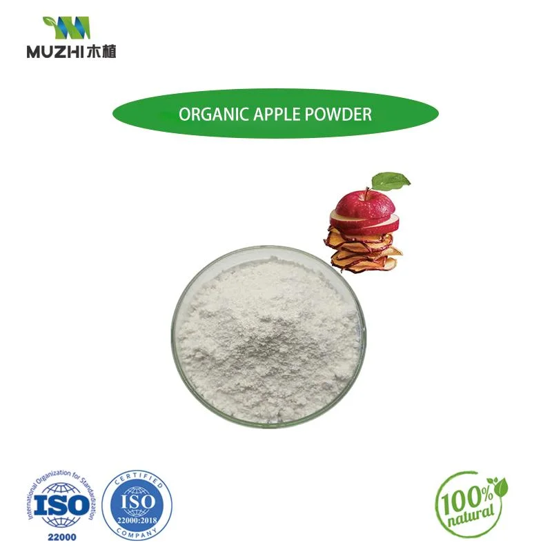 Organic Powder Fruit Drink Mix Freeze Dried Fruit Powder Instant