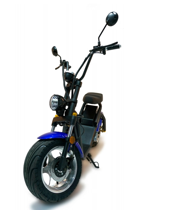 El precio más bajo de 1000W off-road Trike Scooter eléctrico bicicletas bicicleta Bicicleta de grasa para adultos
