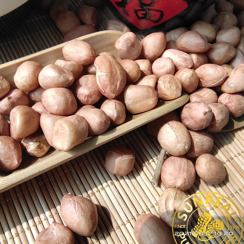 Raw Peanut Kernels 25/35 Hsuji Type Best Quality Gorgeous Packages